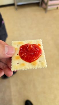 マザー牧場に投稿された画像（2026/2/14）