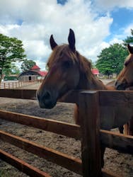 ノーザンホースパークに投稿された画像（2026/2/14）