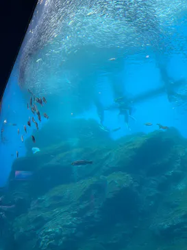 仙台うみの杜水族館に投稿された画像（2026/2/14）