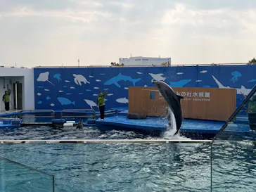 仙台うみの杜水族館に投稿された画像（2026/2/14）