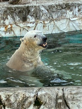 名古屋市東山動植物園に投稿された画像（2026/2/14）