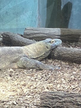 名古屋市東山動植物園に投稿された画像（2026/2/14）