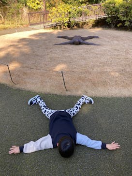 彫刻の森美術館に投稿された画像（2026/2/14）