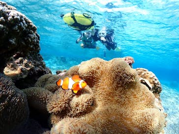 宮古島マリンショップSmileyに投稿された画像（2026/2/14）