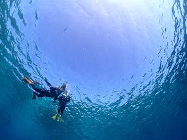 宮古島マリンショップSmileyに投稿された画像（2026/2/14）