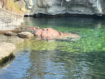 天王寺動物園に投稿された画像（2026/2/14）