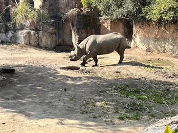 天王寺動物園に投稿された画像（2026/2/14）