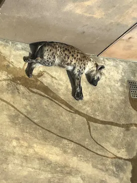 天王寺動物園に投稿された画像（2026/2/14）