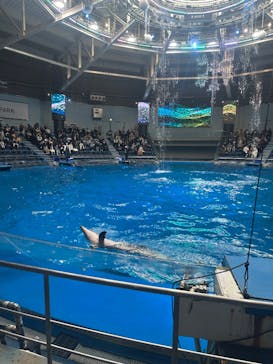 マクセル アクアパーク品川に投稿された画像（2026/2/14）