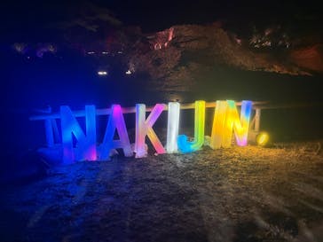 今帰仁城跡に投稿された画像（2026/2/14）