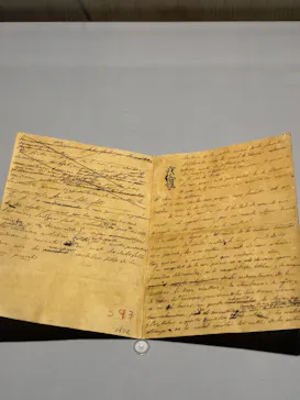 NAKED meets ガウディ展に投稿された画像（2026/2/14）