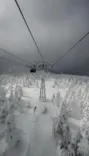 蔵王ロープウェイに投稿された画像（2026/2/14）