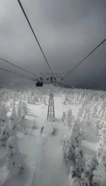 蔵王ロープウェイに投稿された画像（2026/2/14）