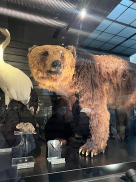 国立科学博物館に投稿された画像（2026/2/14）