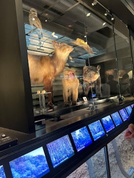 国立科学博物館に投稿された画像（2026/2/14）