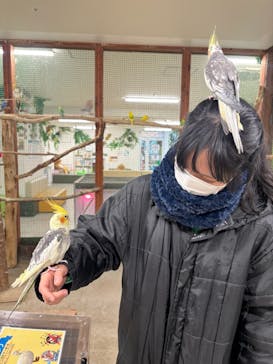 アニタッチ 東京ドームシティに投稿された画像（2026/2/14）