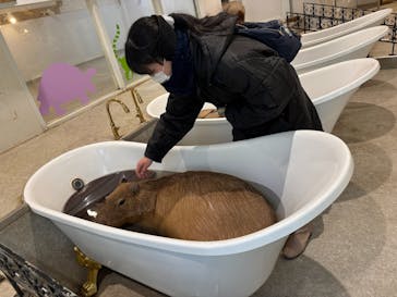 アニタッチ 東京ドームシティに投稿された画像（2026/2/14）