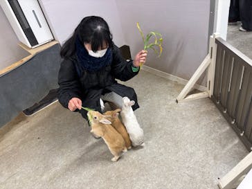 アニタッチ 東京ドームシティに投稿された画像（2026/2/14）