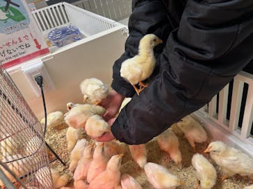 アニタッチ 東京ドームシティに投稿された画像（2026/2/14）