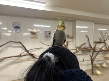 アニタッチ 東京ドームシティに投稿された画像（2026/2/14）