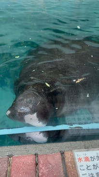 熱川バナナワニ園に投稿された画像（2026/2/14）