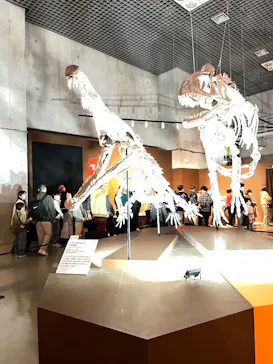 特別展「大絶滅展―生命史のビッグファイブ」に投稿された画像（2026/2/14）