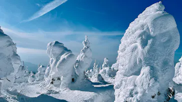 蔵王ロープウェイに投稿された画像（2026/2/14）