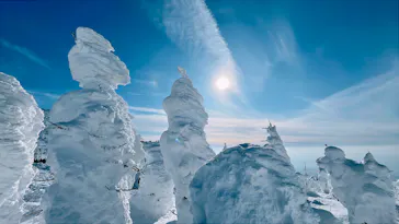 蔵王ロープウェイに投稿された画像（2026/2/14）