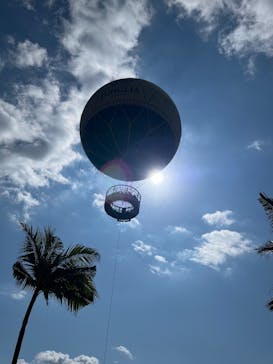 JUNGLIA OKINAWA（ジャングリア沖縄）×古宇利オーシャンタワーに投稿された画像（2026/2/14）