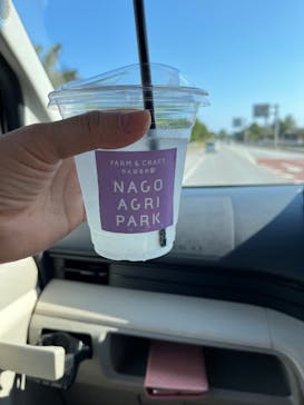 JUNGLIA OKINAWA（ジャングリア沖縄）×古宇利オーシャンタワーに投稿された画像（2026/2/14）