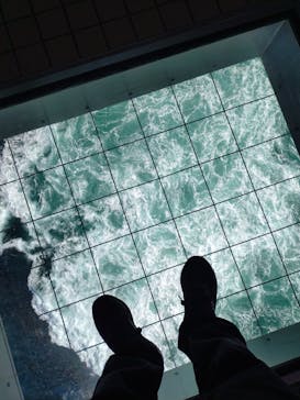 徳島県立 渦の道に投稿された画像（2026/2/14）