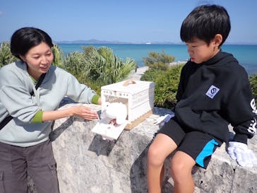 コンプリート沖縄に投稿された画像（2026/2/14）