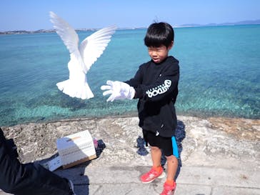 コンプリート沖縄に投稿された画像（2026/2/14）