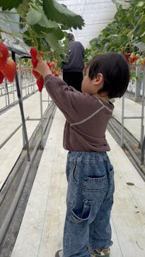 株式会社こまち野に投稿された画像（2026/2/14）