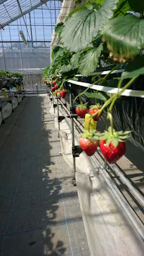 ＠FARMに投稿された画像（2026/2/14）