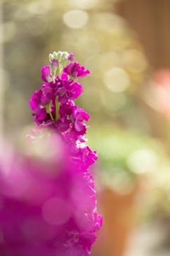 安城産業文化公園デンパークに投稿された画像（2026/2/14）