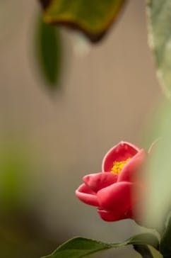 安城産業文化公園デンパークに投稿された画像（2026/2/14）