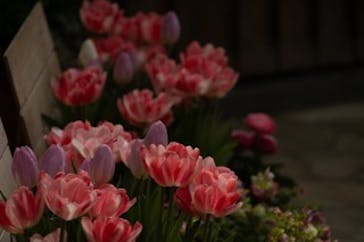 安城産業文化公園デンパークに投稿された画像（2026/2/14）