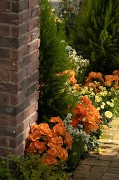 安城産業文化公園デンパークに投稿された画像（2026/2/14）