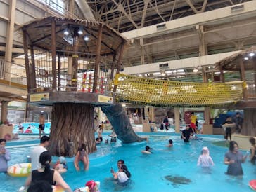 スパリゾートハワイアンズに投稿された画像（2026/2/14）