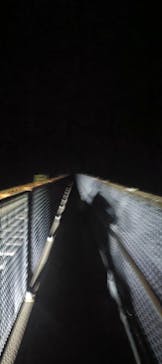 大井川鐵道株式会社に投稿された画像（2026/2/14）