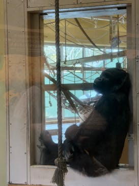 名古屋市東山動植物園に投稿された画像（2026/2/14）