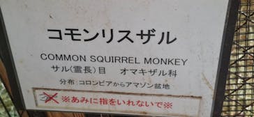 那須ワールドモンキーパークに投稿された画像（2026/2/14）