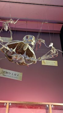 マリンワールド海の中道に投稿された画像（2026/2/14）