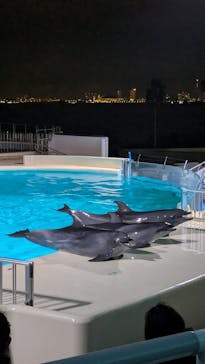 マリンワールド海の中道に投稿された画像（2026/2/14）