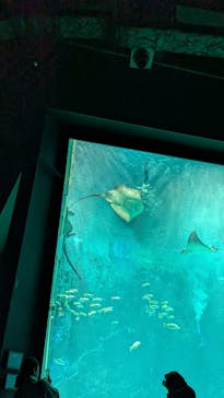 マリンワールド海の中道に投稿された画像（2026/2/14）