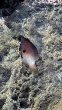 マリンワールド海の中道に投稿された画像（2026/2/14）