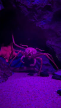 マリンワールド海の中道に投稿された画像（2026/2/14）