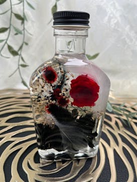 ずこうしつ〜sugamo〜に投稿された画像（2026/2/14）