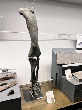 福井県立恐竜博物館に投稿された画像（2026/2/14）